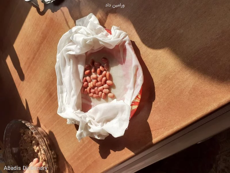 ورامین داد